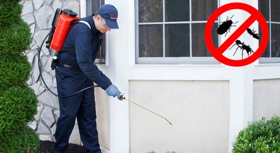 Boğazkale Böcek İlaçlama böcek ilaçlama ve haşere kontrolü — ilaclama-tr.com